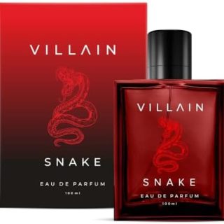 Villain Snake Perfume for Men, Eau De Parfum (EDP) - 100ml, Premium Strong, Smoky, and Masculine Fragrance, Amberwood, Oakmoss, Patchouli, and Vetiver  Amazon.ae: Beauty