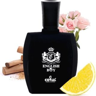 Coral English Boy Perfume For Men - 100ml | Eau de Parfum | Long-Lasting Luxury Fragrance | Woody, Aromatic & Oriental Scent | Perfume Made in Dubai  Amazon.ae: Beauty