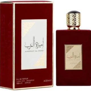 Hilto Ameerat Al Arab Princess Of Arabia Perfume EDP 100ml Perfume Attar Ul Arabia Women fragrance  Amazon.ae: Beauty