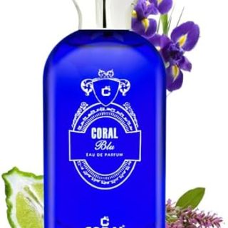 Coral Blu Perfume For Men - 100ml | Eau De Parfum | Fresh & Sophisticated Masculine Fragrance | Long-Lasting Aromatic Scent with Marine, Citrus & Woody Notes  Amazon.ae: Beauty