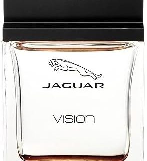 Jaguar Vision Sport by Jaguar Eau De Toilette Spray 3.4 oz for Men  Amazon.ae: Beauty