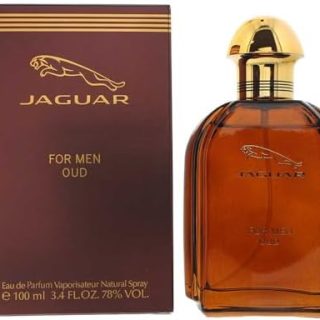 Jaguar Eau De Parfum Oud For Men 100ml  Amazon.ae: Beauty